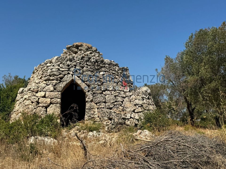 Helårsgrund i Carovigno, Brindisi - foto 4